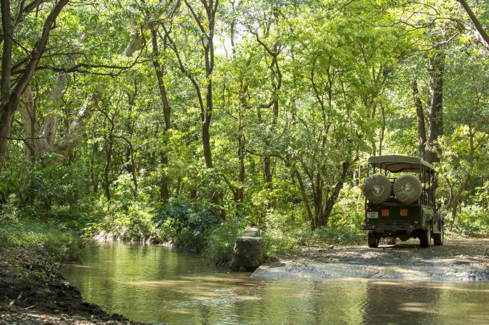 Cedarberg Travel | Lake Manyara Serena Safari Lodge