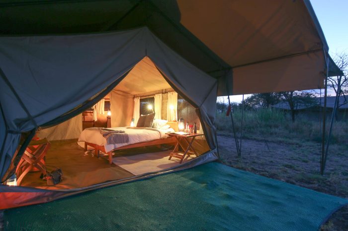 Cedarberg Travel | Serengeti North Wilderness Camp