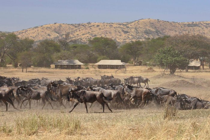 Cedarberg Travel | Ubuntu Migration Camp