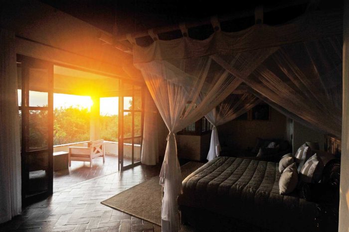 Cedarberg Travel | Elephant Plains Lodge