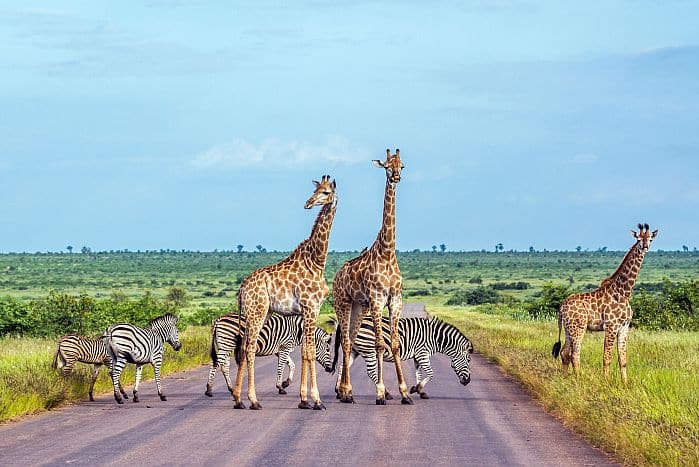 Kruger National Park