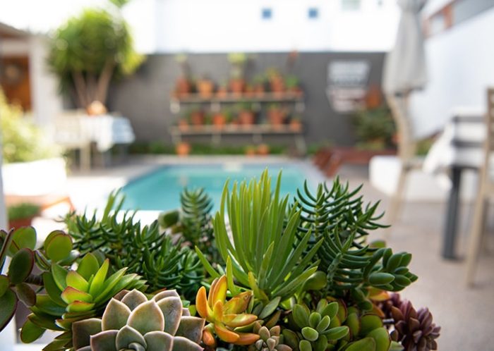Cedarberg Travel | Paternoster Dunes Guesthouse