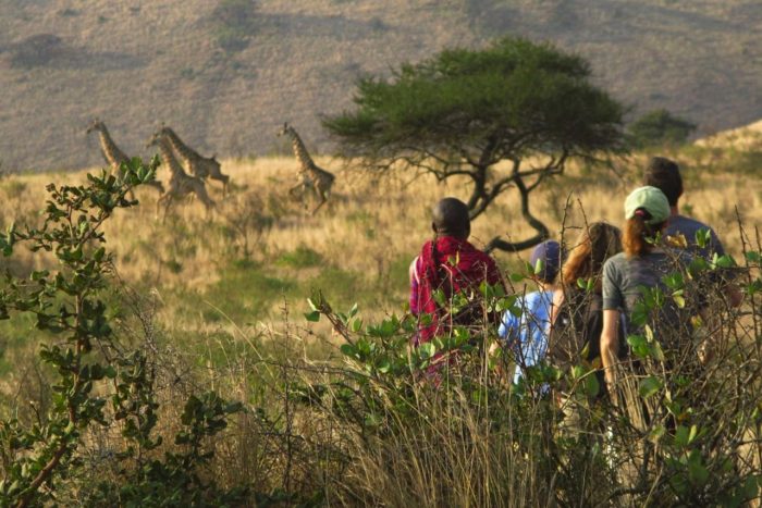 Cedarberg Travel | Campi ya Kanzi