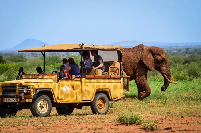 Cedarberg Travel | Campi ya Kanzi