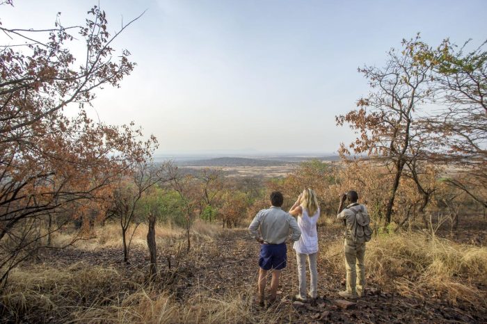 Cedarberg Travel | Kirawira Camp