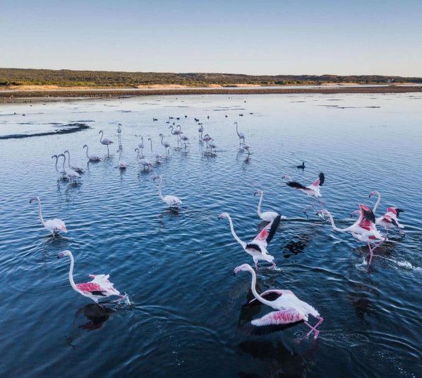 Cedarberg Travel | Coot Club