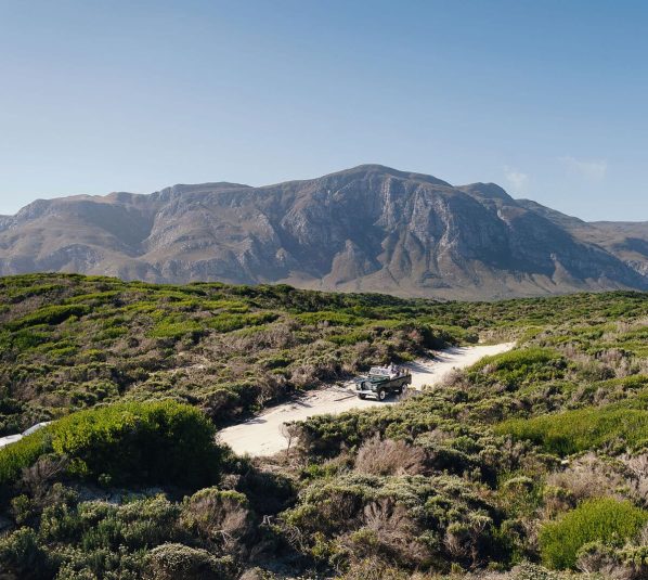 Cedarberg Travel | Coot Club