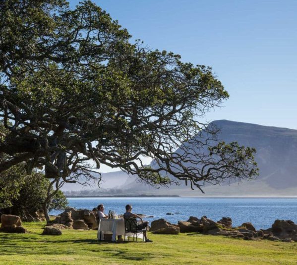 Cedarberg Travel | Coot Club