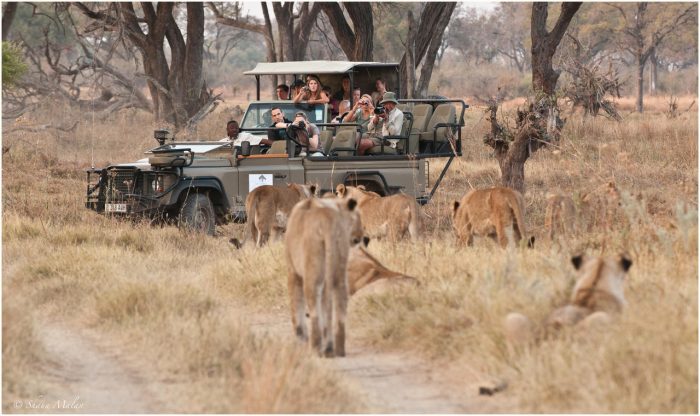 Cedarberg Travel | Machaba Camp