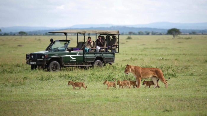 Cedarberg Travel | Highlights of Tanzania