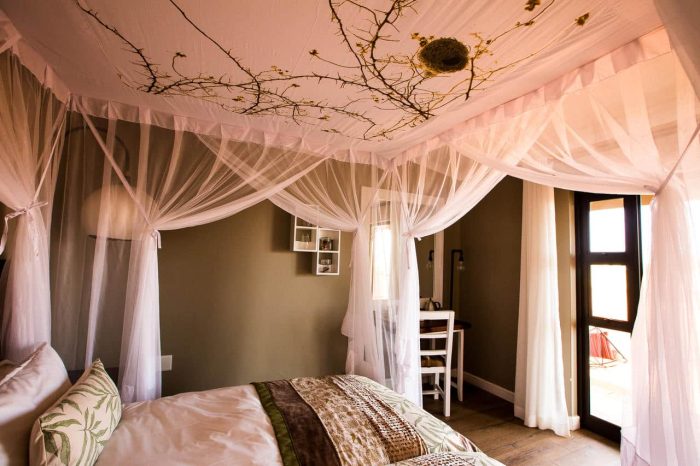 Cedarberg Travel | Kalahari Anib Lodge