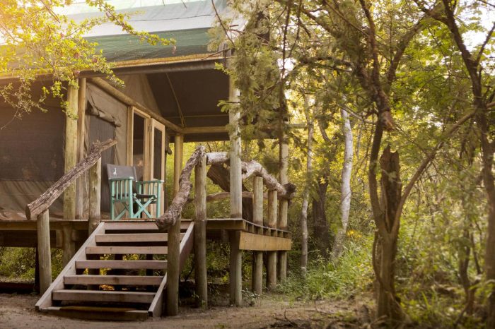 Cedarberg Travel | Thamo Telele