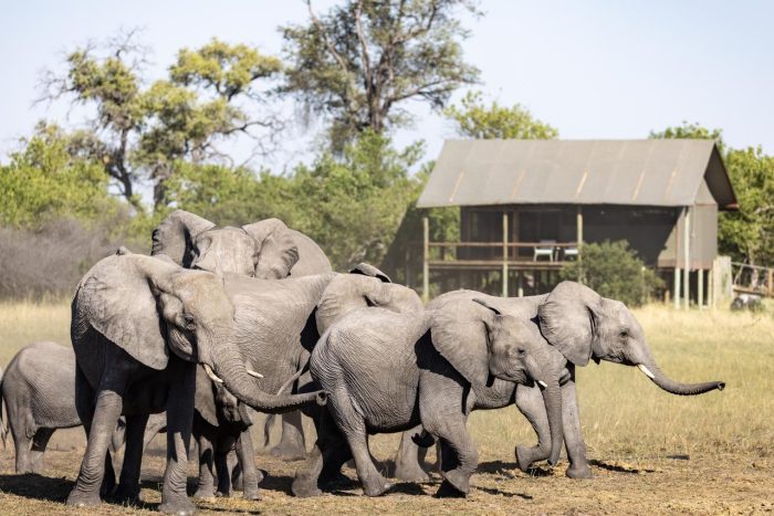 Cedarberg Travel | Mokolwane Camp