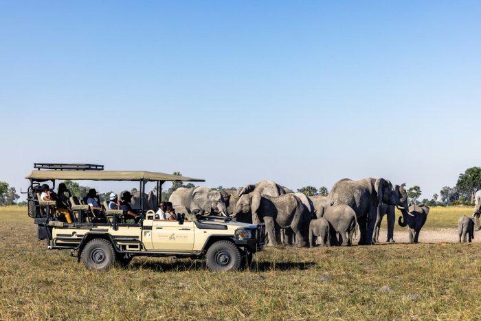 Cedarberg Travel | Mokolwane Camp