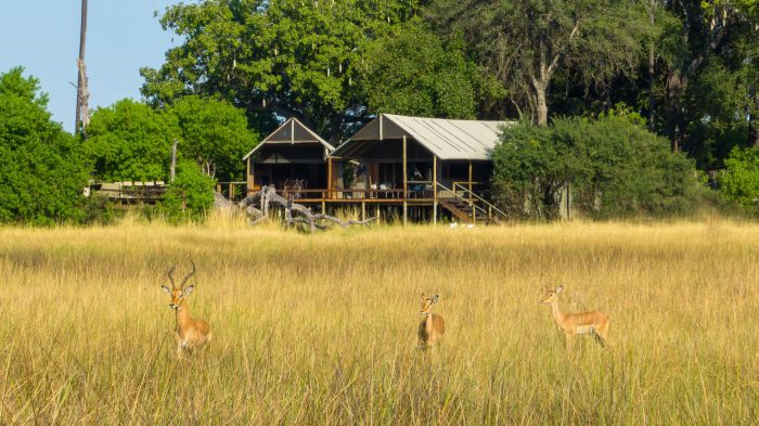 Cedarberg Travel | Mokolwane Camp