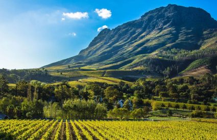 Our Top 10 Restaurants in Cape Town in 2025/26