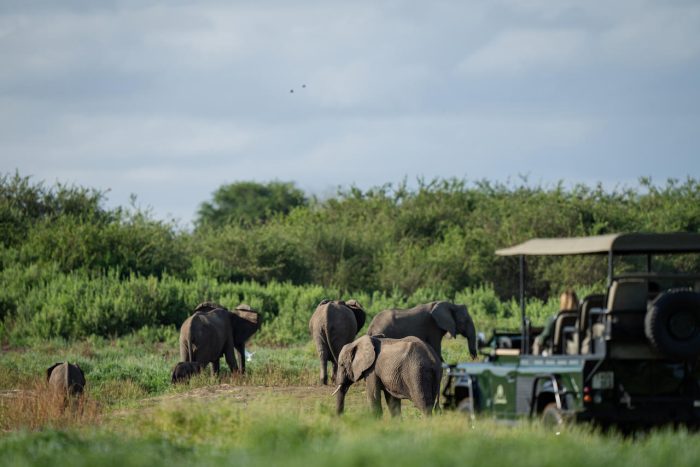 Cedarberg Travel | Siwandu