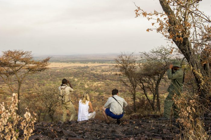 Cedarberg Travel | Kirawira Camp