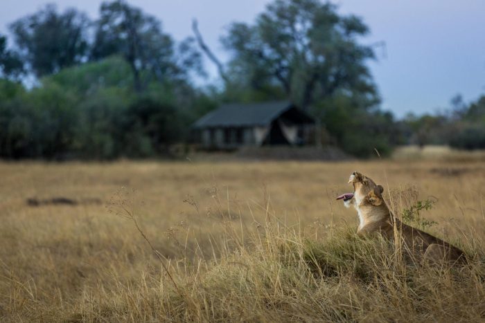 Cedarberg Travel | Machaba Camp