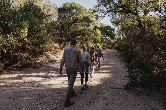 Cedarberg Travel | Tanda Tula Safari Camp