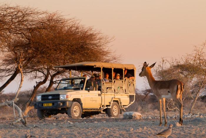 Cedarberg Travel | Onguma Camp Kala