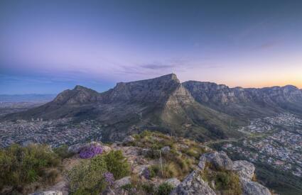 Stellenbosch versus Franschhoek: Who wins the battle in the Cape Winelands?