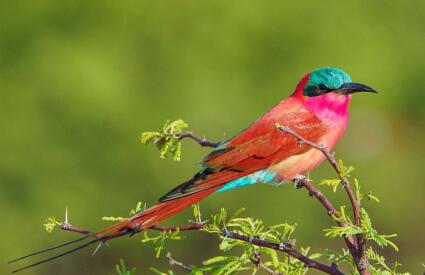 Namibia Fly-In with Skeleton Coast
