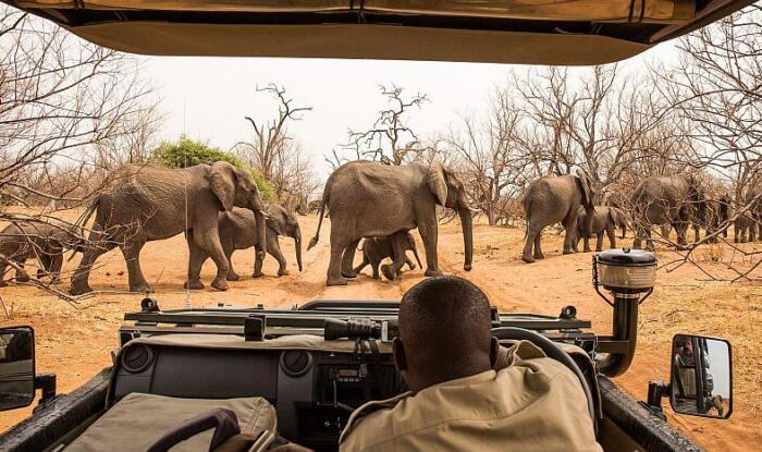 Cedarberg Travel | Kavango Adventure Safari