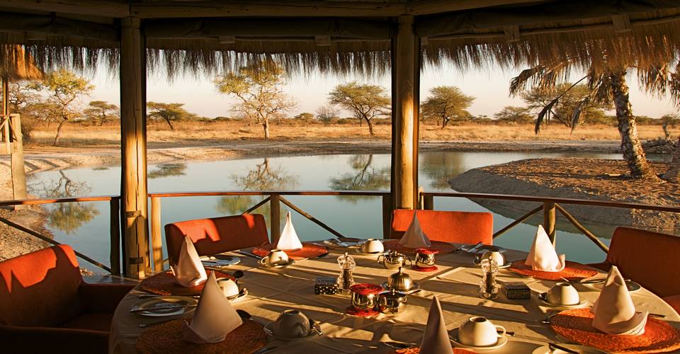 Onguma Bush Lodge - family lodges in Namibia