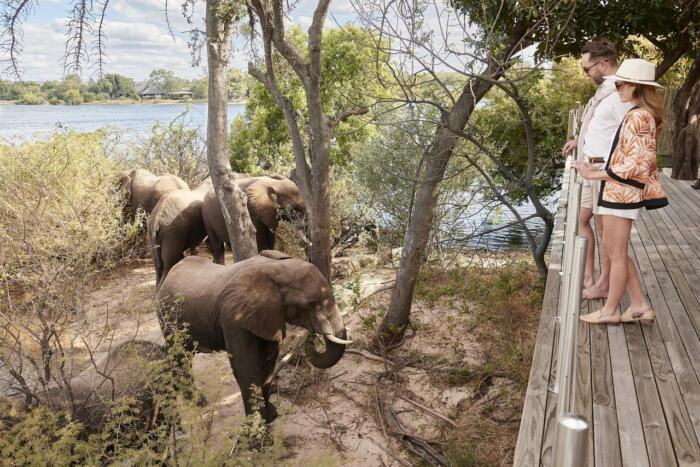Cedarberg Travel | Victoria Falls River Lodge - Island Treehouse Suites