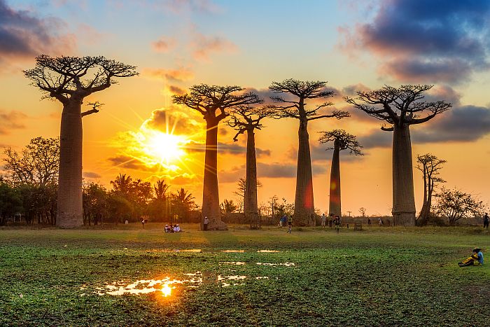 Baobab Alley, Western Madagascar attractions