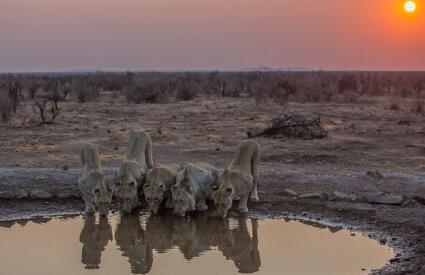Namibia Fly-In with Skeleton Coast