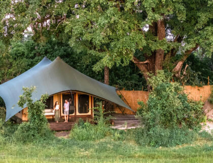 1743152405350_Maxa-13