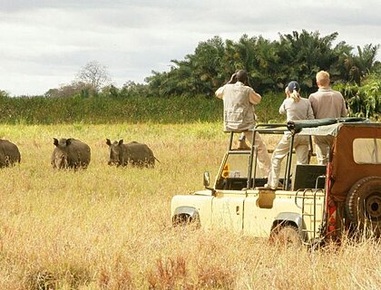 Rhino Sanctuary in Meru National Park