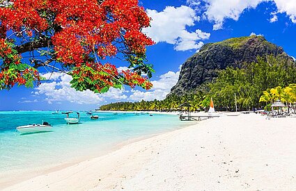 Where to Visit in South Africa: From Cape Town to Kruger