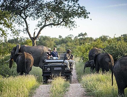 What does a Gorilla safari cost in Rwanda or Uganda?