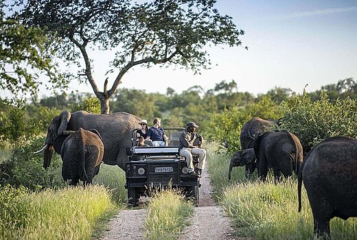 Where to Visit in South Africa: From Cape Town to Kruger